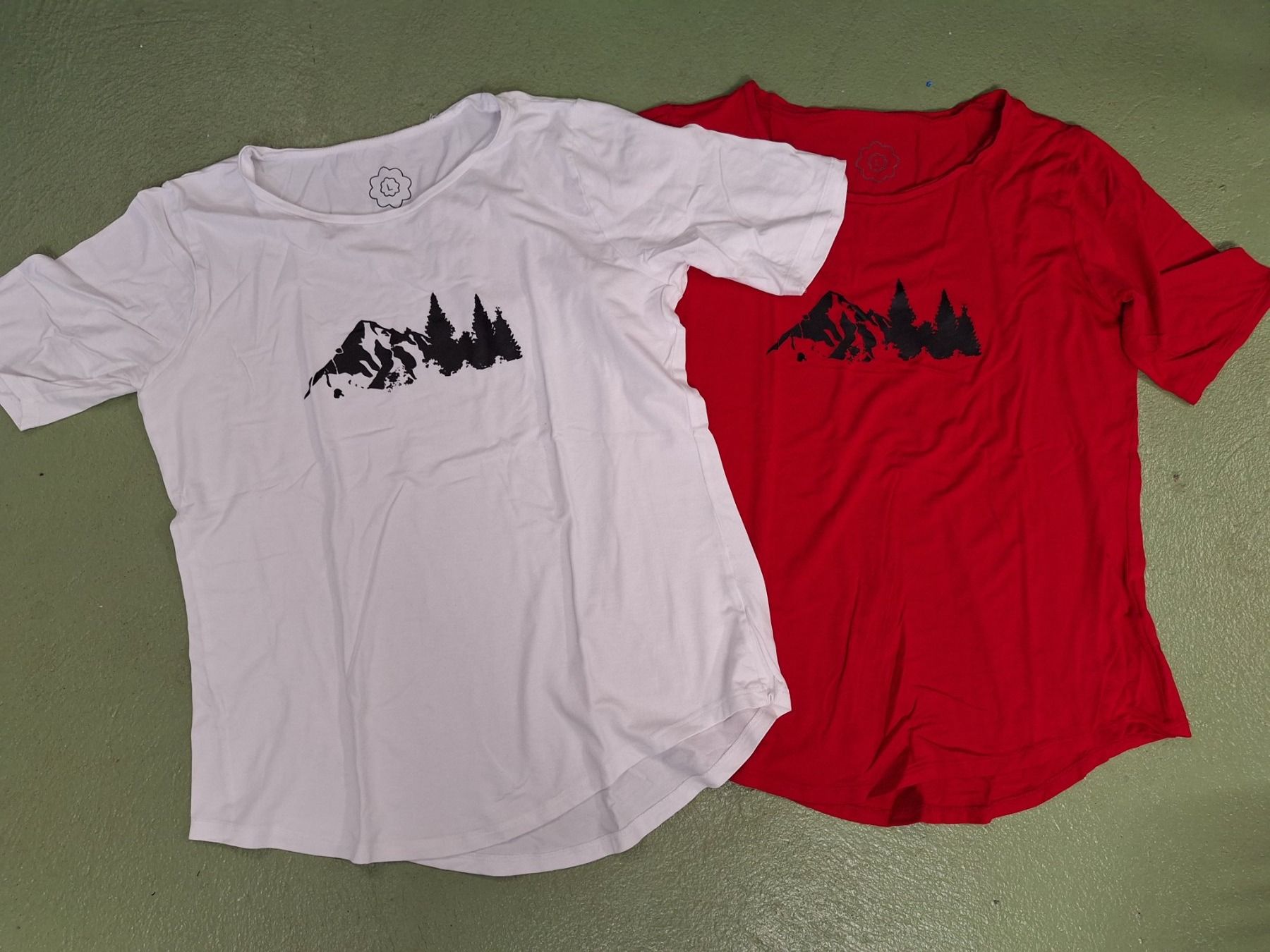 T-shirt: 2 T'shirts – Usato da Niederglatt ZH venduto da Bobsli