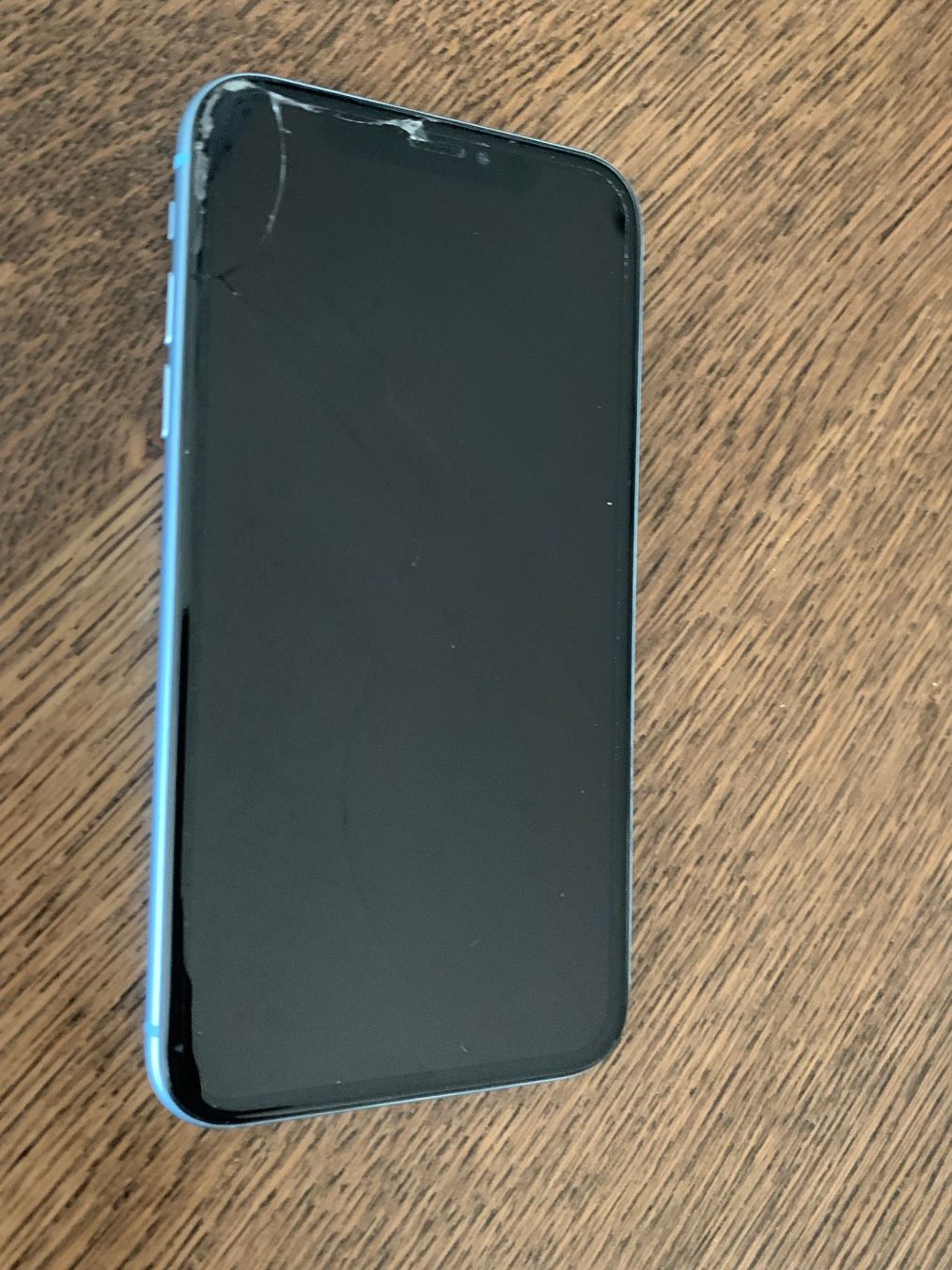 Apple Telefoni cellulari / Smartphones: iPhone XR hellblau / türkis - 256GB – Nuovo (secondo la descrizione) da Rothenburg venduto da Calciatore75