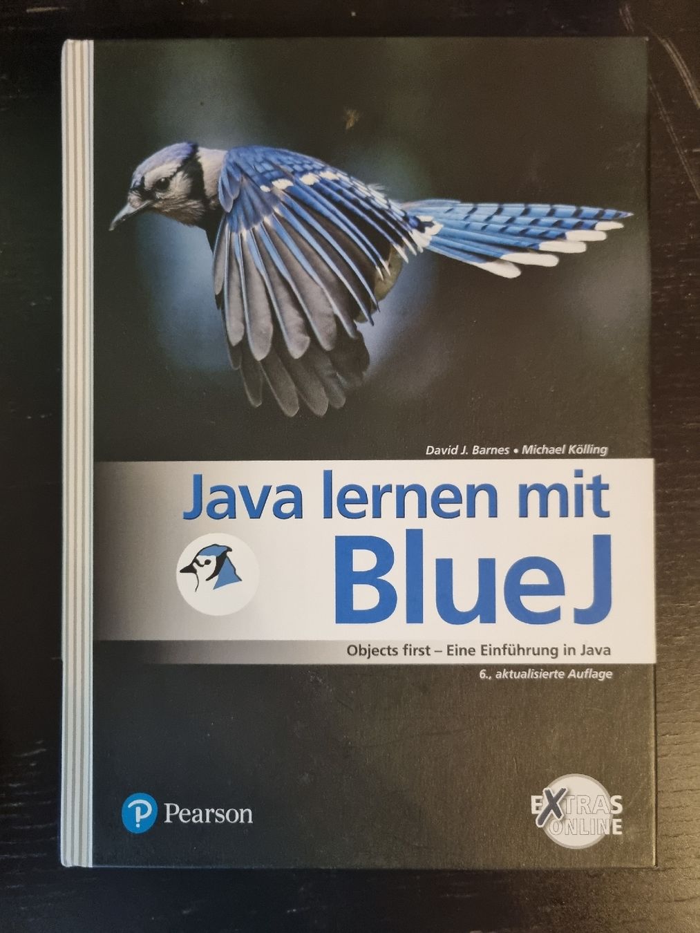 Bücher: Java lernen mit BlueJ – Neu (gemäss Beschreibung) aus Laupen ZH von