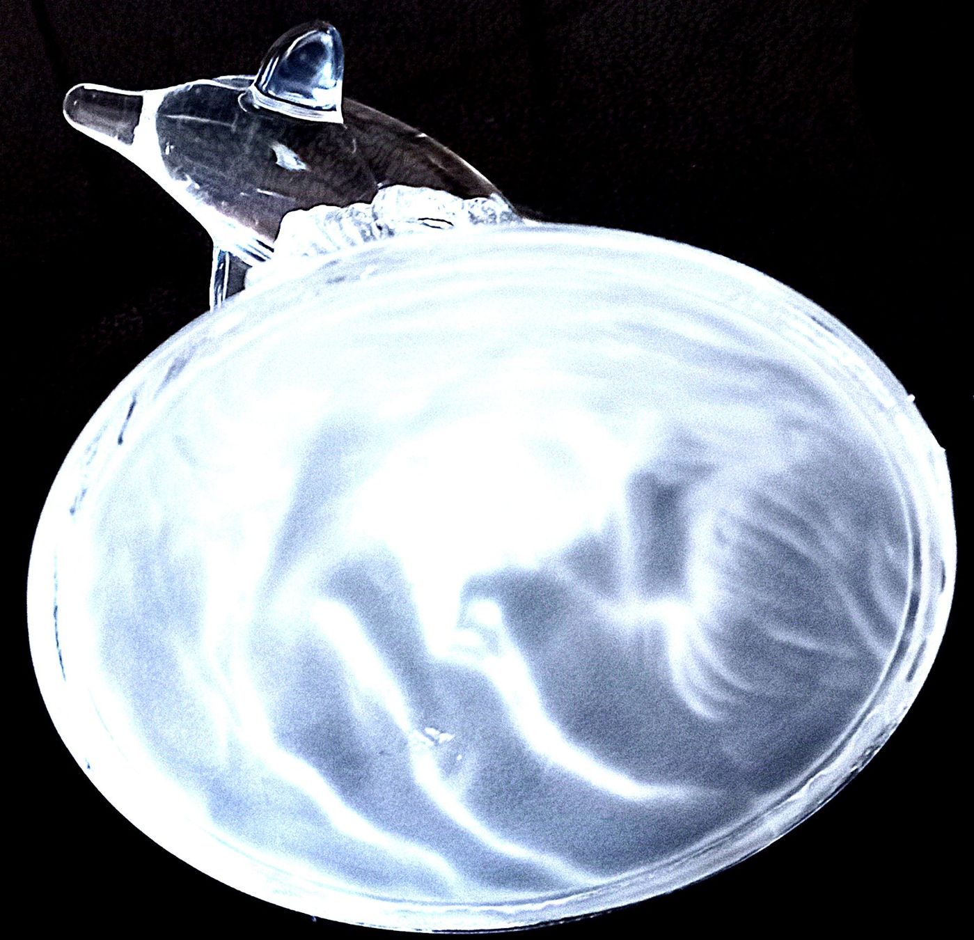 Sculture & Statue: Delfin auf Wasserwelle Glaskunst – Usato da Baar venduto da 2cvbaar 5