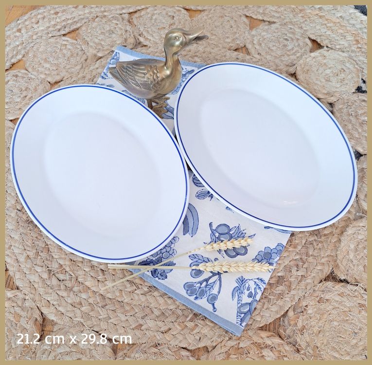 Plat à Four Ovale Arcopal – Vintage France – Motif Paysage – 32 X 24,5 Cm