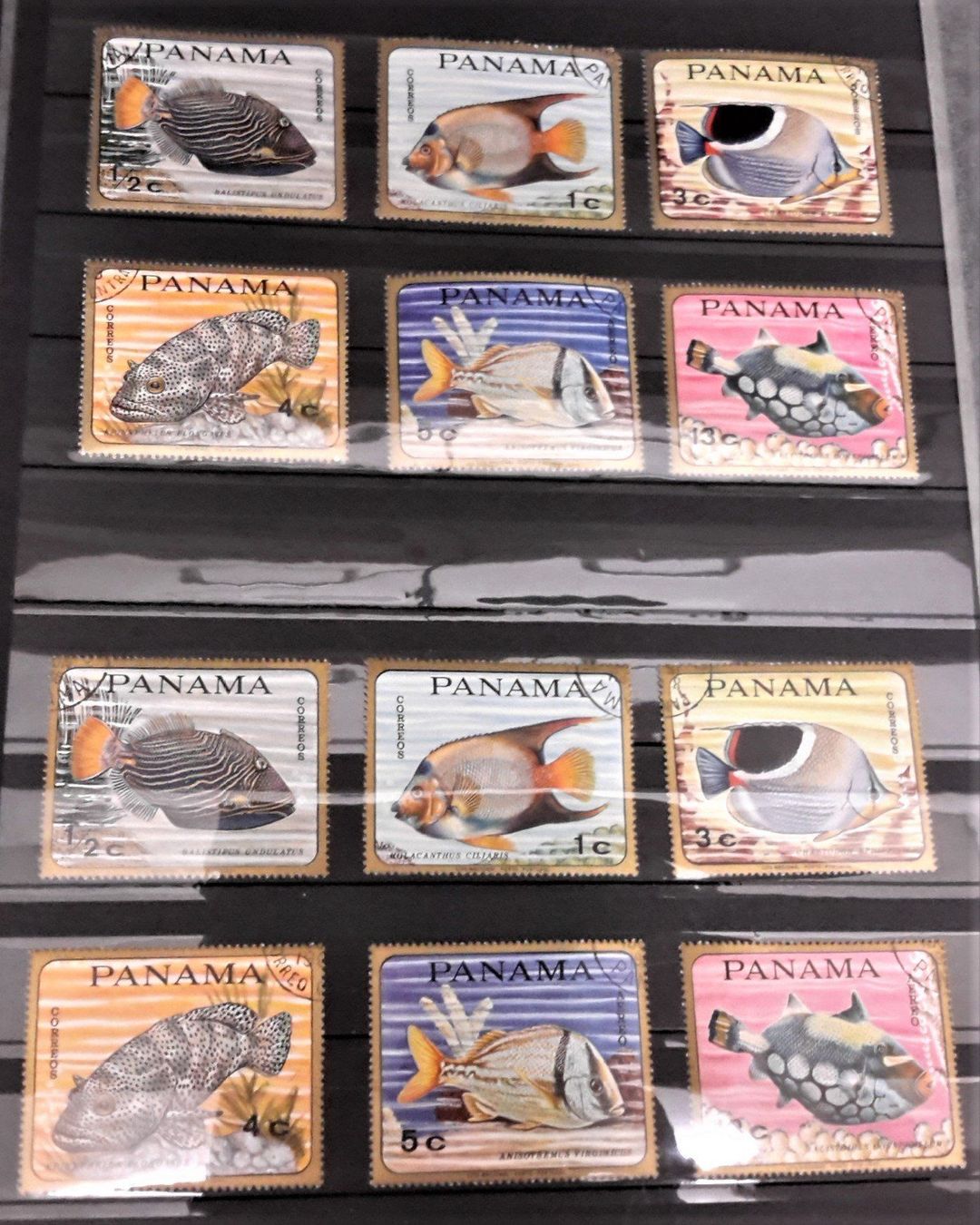 Alle Briefmarken: Internationale Briefmarken THEMA-Sammlung  "FISCHE DER WELT" – Neu (gemäss Beschreibung) aus Zug von Aeschroot 4