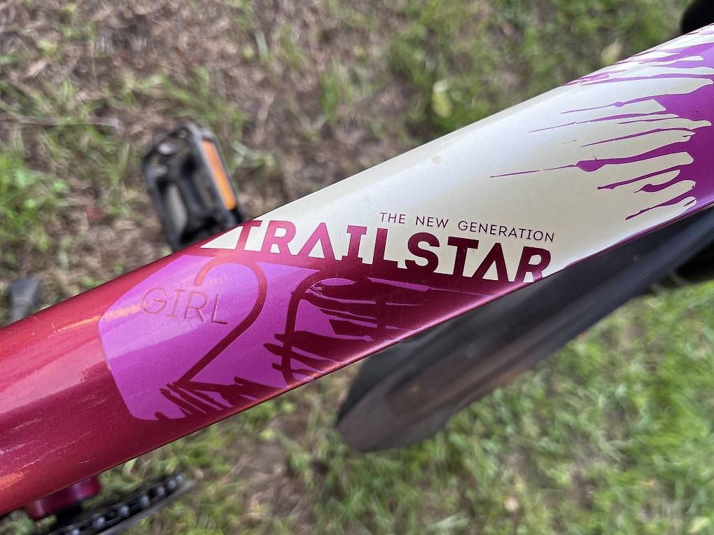 Biciclette: Kinderfahrrad 20 Zoll  – Usato da Subingen venduto da BUELL69 3