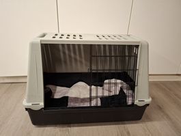 Kleine Hunde Transportbox aus Plastik, Top Zustand!