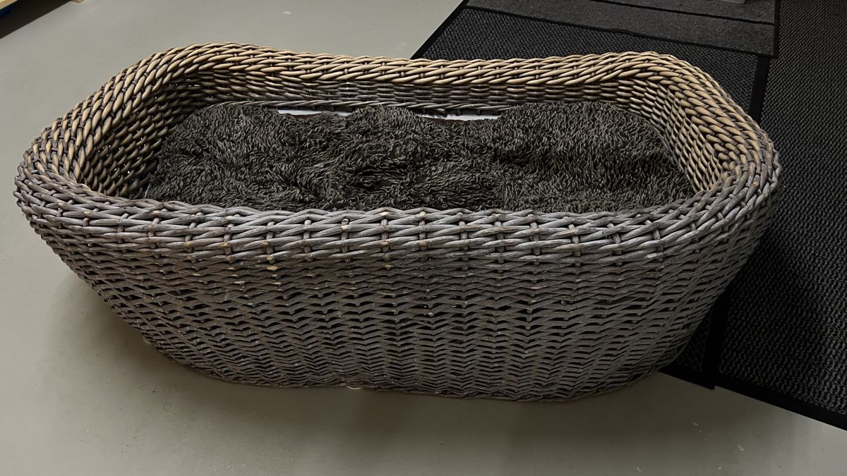 MICHUR PET Hundebett Rattan (Gebraucht) in Aesch LU fr CHF 60  nur  Abholung auf Ricardo kaufen