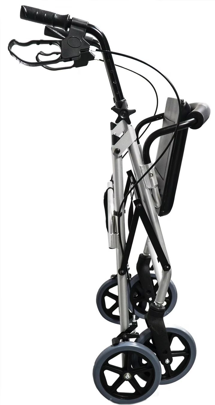 Gehhilfen: Rollator Ridder Eco – Gebraucht aus zürich von nvezin 1