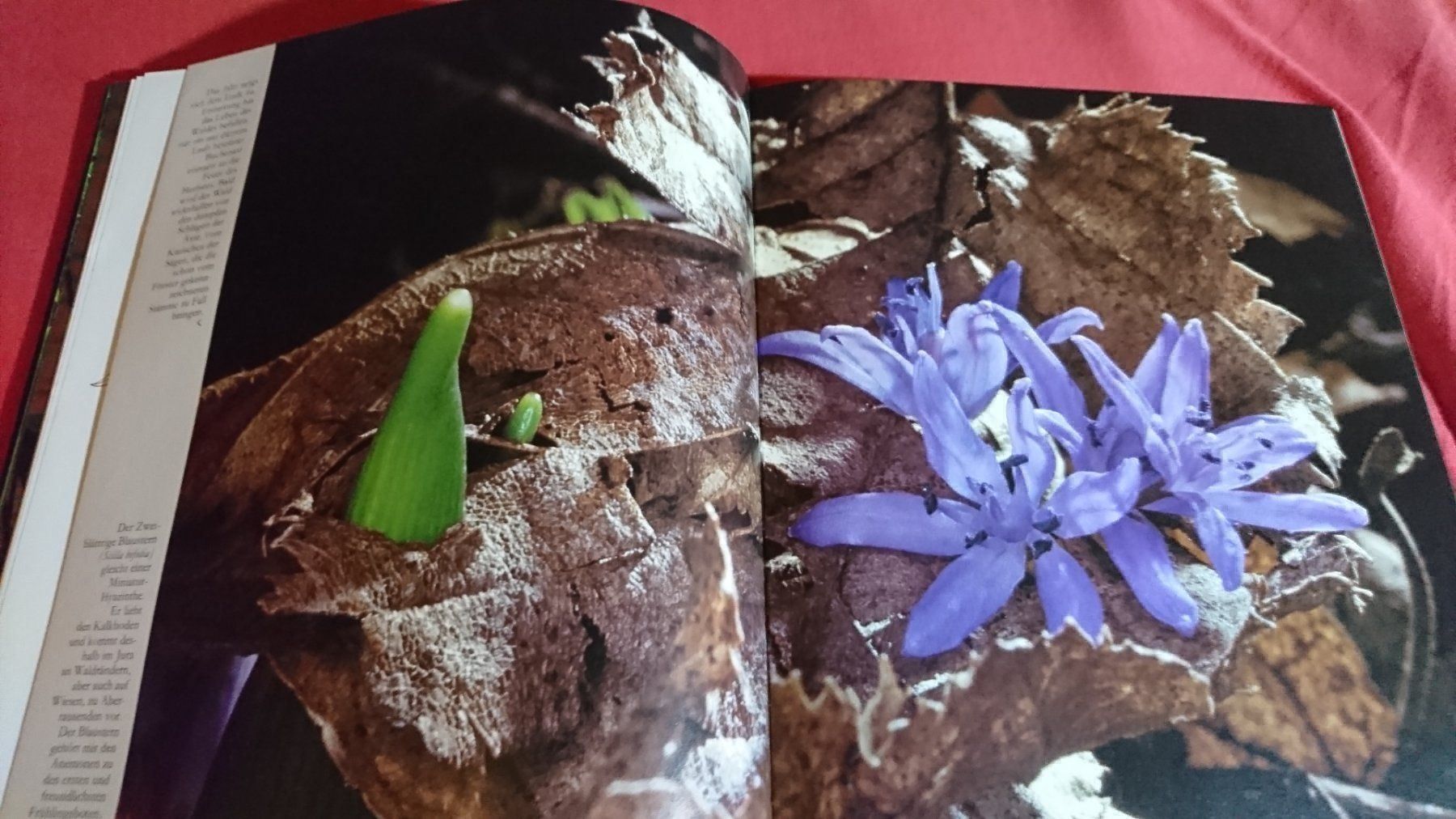 Libri: Die Natur in der wir leben – Usato da Remetschwil venduto da Privatflohmi 6