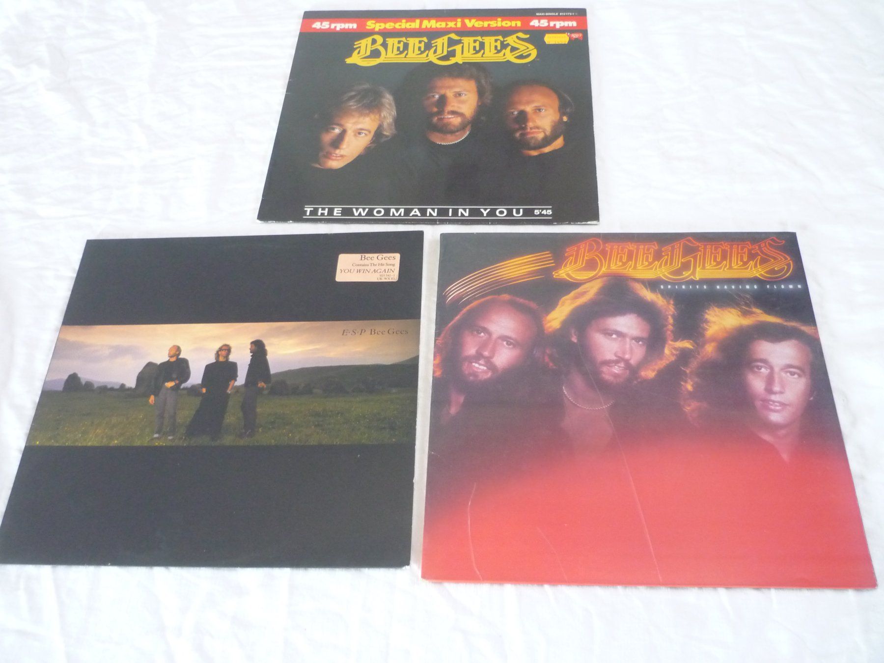 Dischi in vinile: 3x Vinyl - Bee Gees  - 80s Pop Rock Disco – Usato da Beringen venduto da Flatretriever