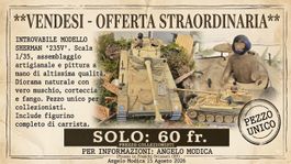 Modellino carro armato Sherman 235V scala 1/35 assemblato di