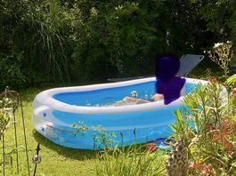 Swim Center Family Pool (Intex)