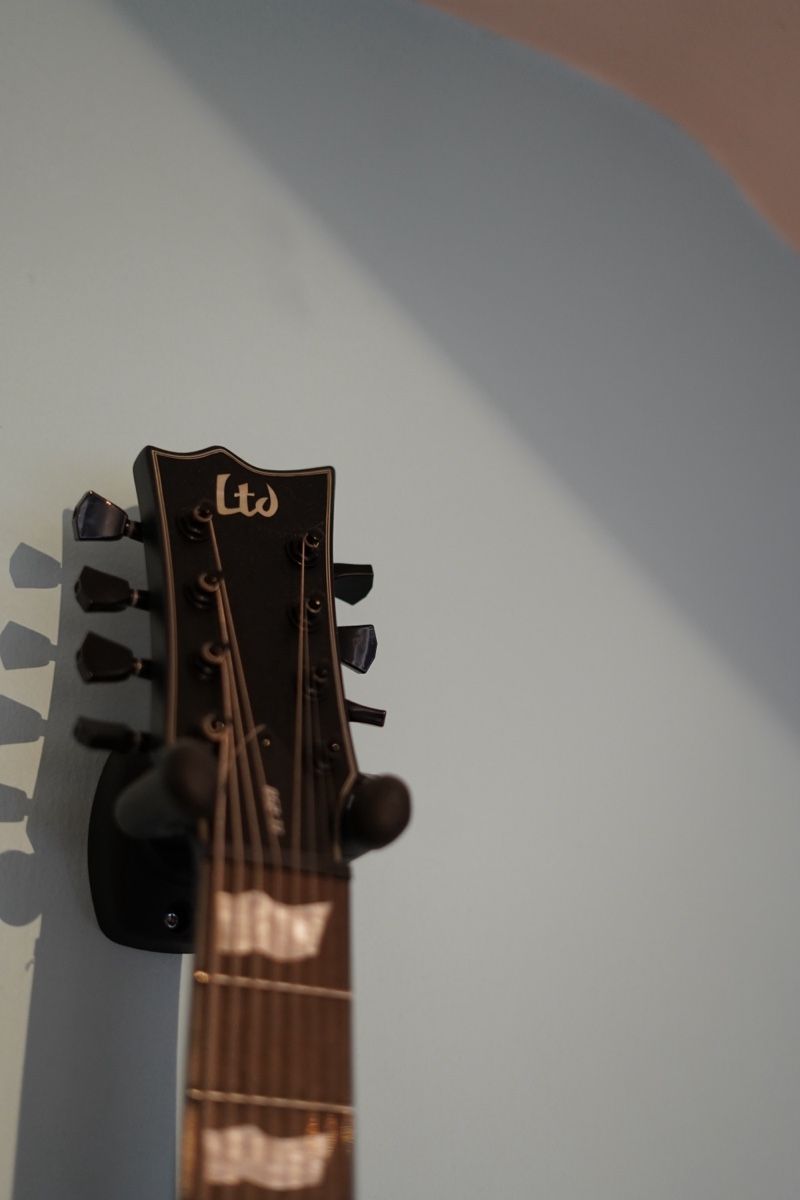 Esp Strumenti musicali: LTD EC-258 E-Gitarre – Nuovo (secondo la descrizione) da Grenchen venduto da ale_yv26 1