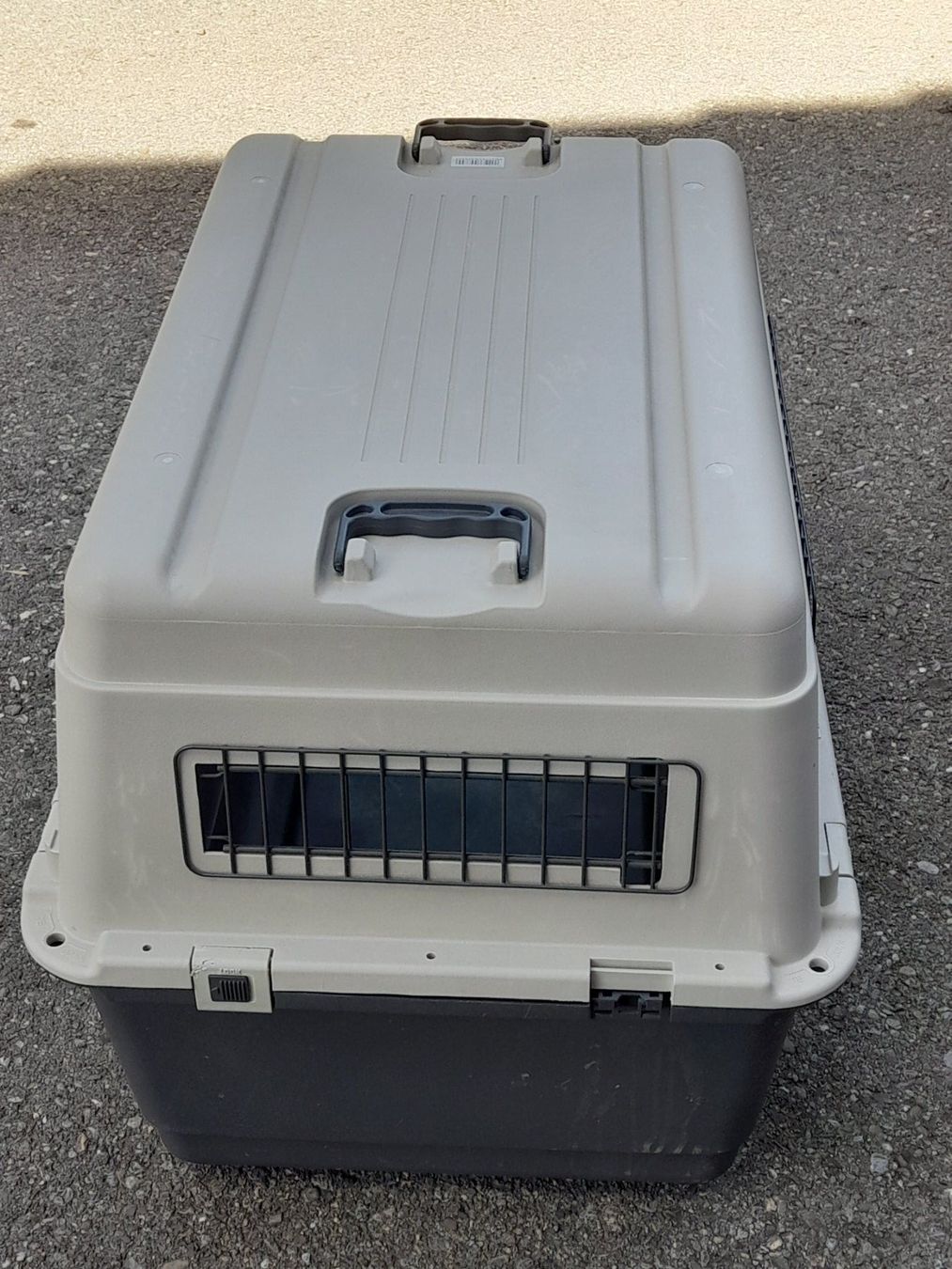 Gabbie, trasporto & Sicurezza: Hunde Transportbox 80 x 55  H = 60 – Usato da Aeschi b.Spiez venduto da 52_wochen 3
