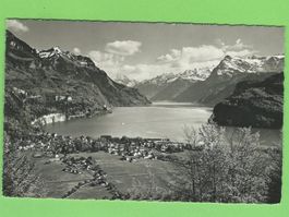 Brunnen mit Urnersee