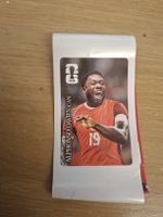 Alphonso Davies coca cola panini
