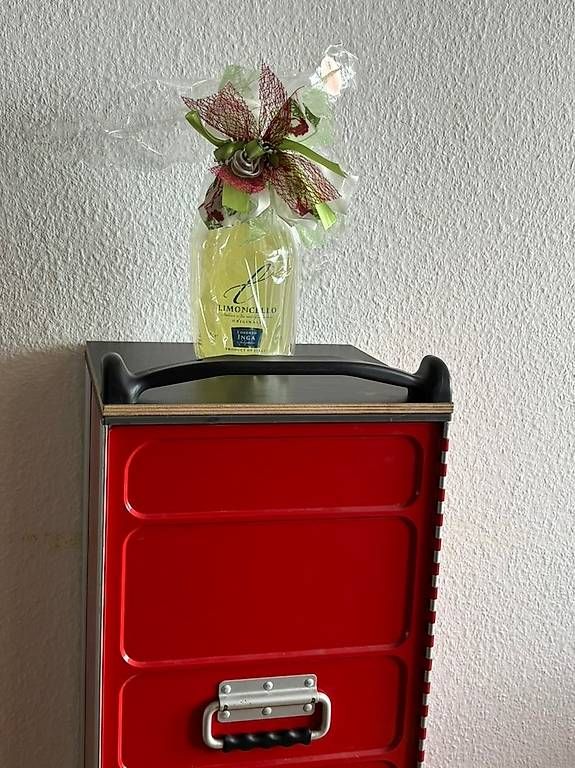Valises & Sacs: Trolley «Storage»  – D'occasion à Galgenen par wer_v9fb 8