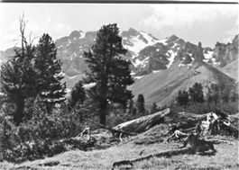 Zernez, Nationalpark, Val Ftur