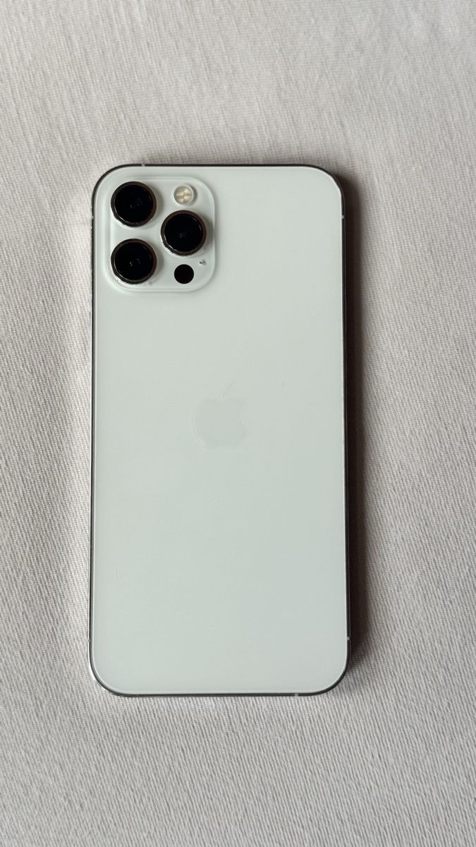 Apple Telefoni cellulari / Smartphones: iPhone 12 Pro MAX Silver, 256 GB – Usato da Schönenwerd venduto da cassi2828 3