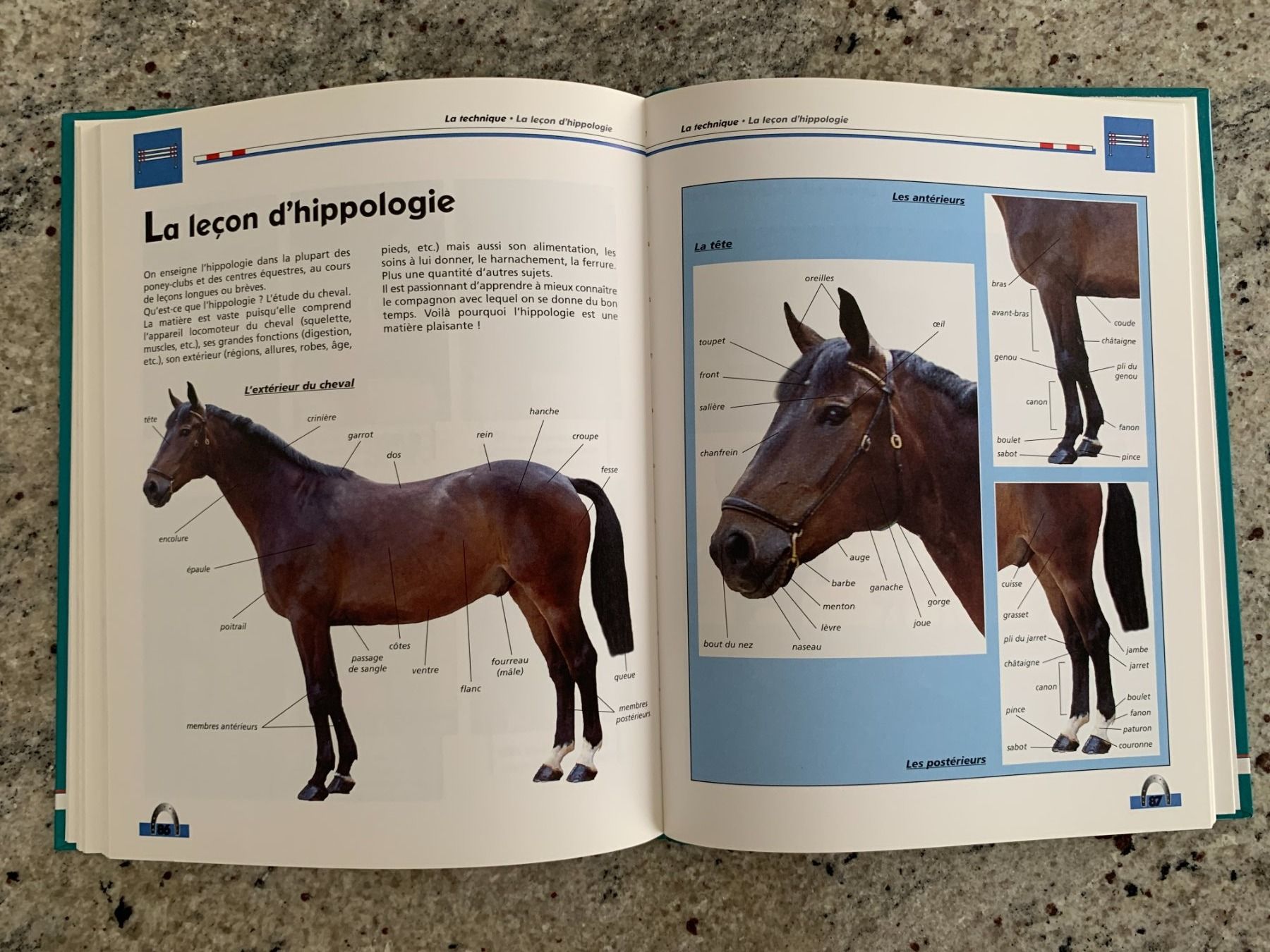 Libri: Livre l'Équitation – Usato da Genève venduto da sunsustains 8