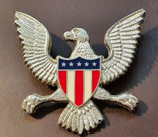 X286 - Grosser Pin Adler mit USA Amerika Wappen