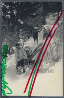 L'Hiver à la Montagne. Descente des Billons.