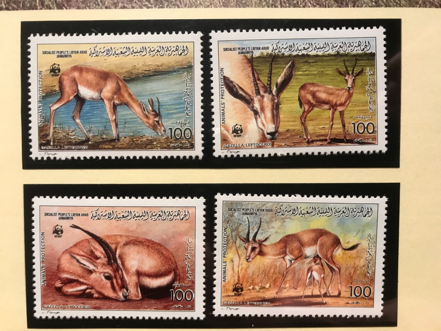 Tutti i francobolli: WWF Libyen 1987 Satz Dünengazelle postfrisch – Nuovo (secondo la descrizione) da Liestal venduto da schnueps