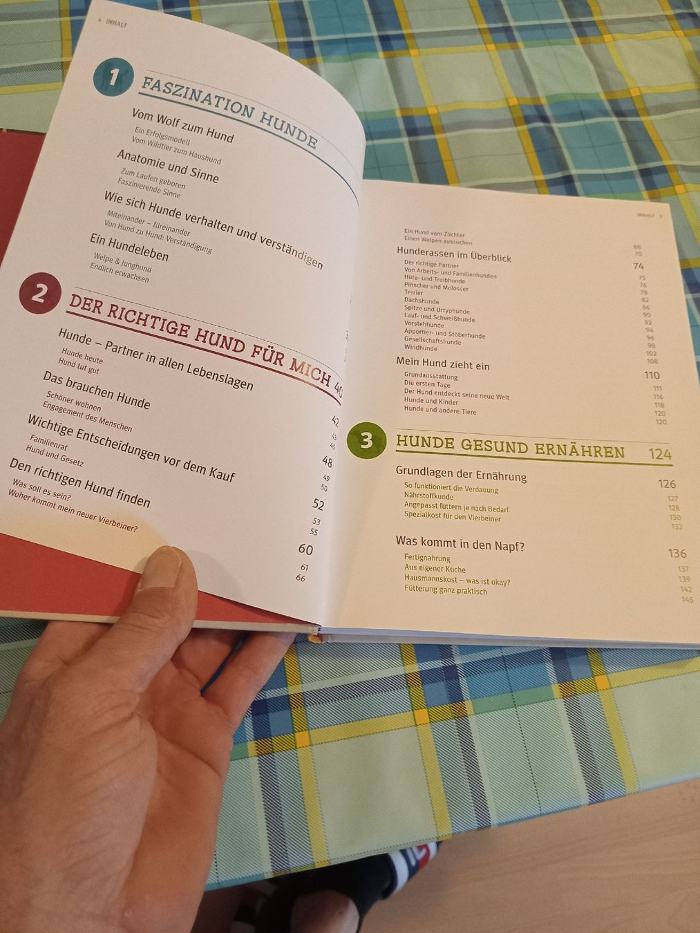 Livres: Buch Hunde Das grosse Praxishandbuch – Neuf (Voir description) à Obergösgen par typ_qb9v 2