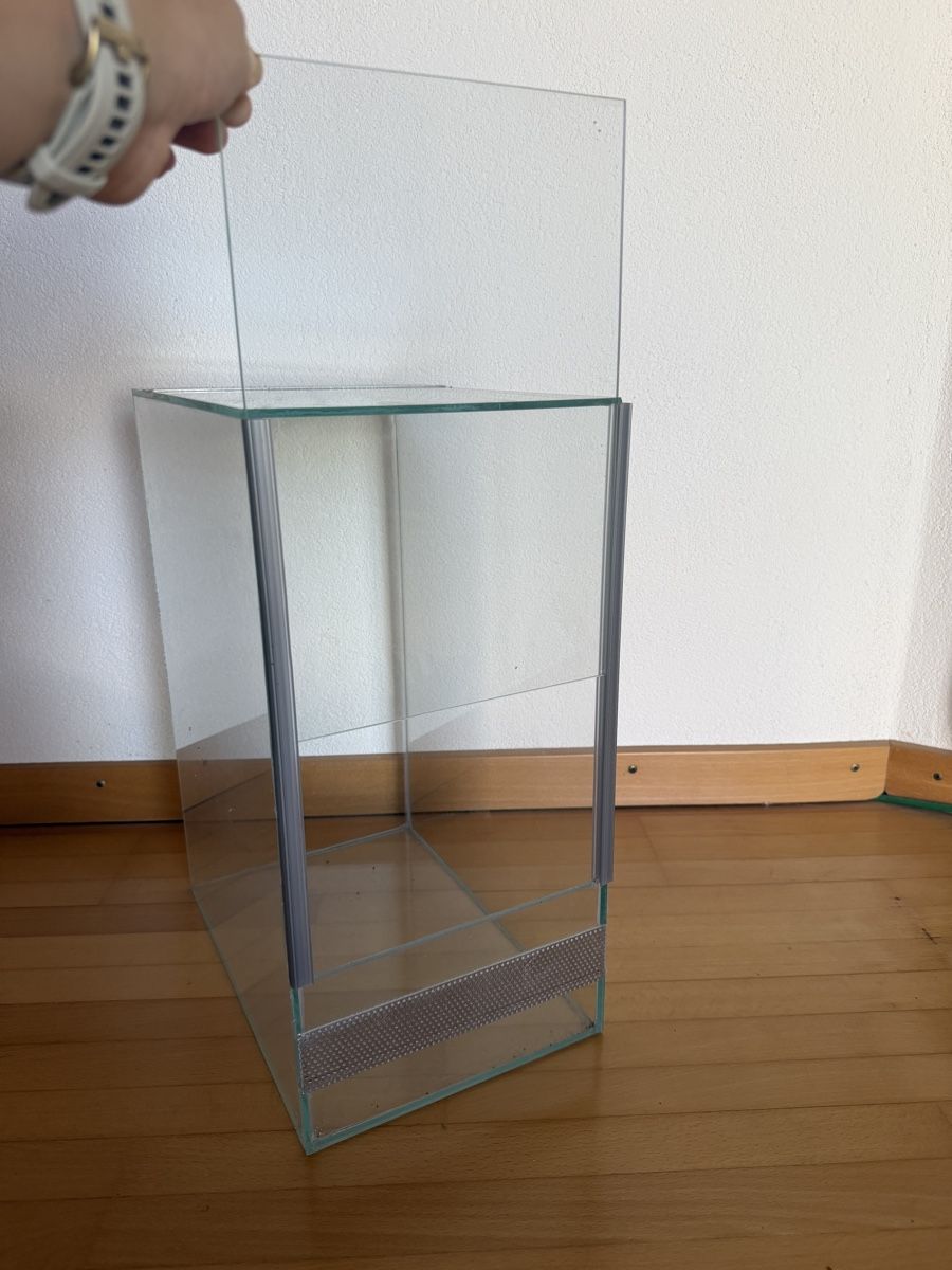 Terrario: Terrarium – Nuovo (secondo la descrizione) da Gals venduto da lauracorinamader 2