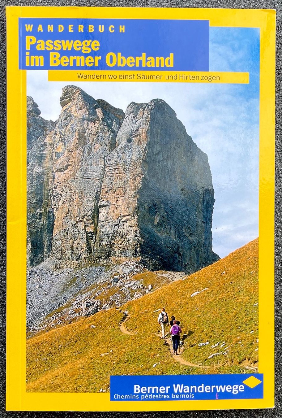 Libri: Berner Wanderbuch - Passwege im Berner Oberland – Usato da Burgdorf venduto da Bsb7