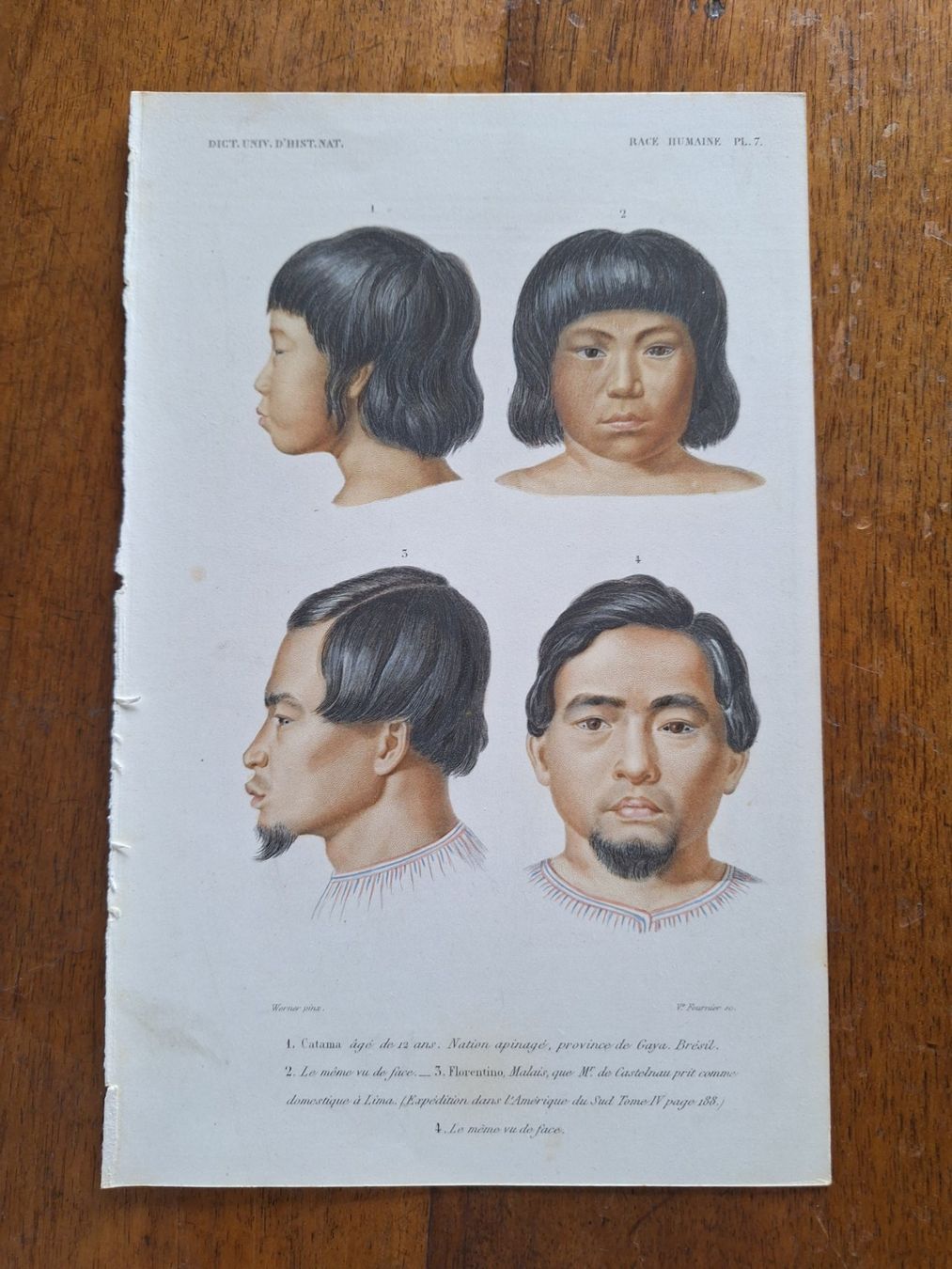 Xilografie: Types humains – Usato da Bevaix venduto da bohrap 3