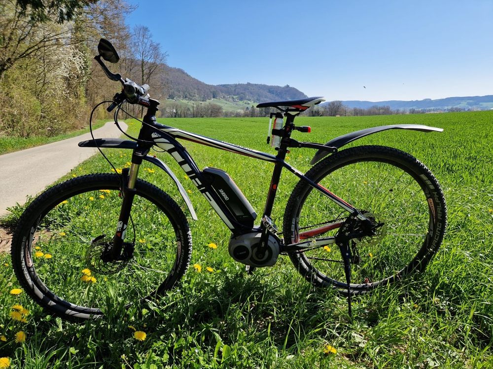 Cube Hybrid Ebike Reaction 29 Zoll Räder Bosch (Gebraucht) in ...