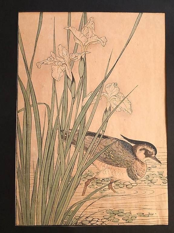 Gemälde: Estampe japonaise, un canard avec des iris – Gebraucht aus Yvonand von fli_n6mb