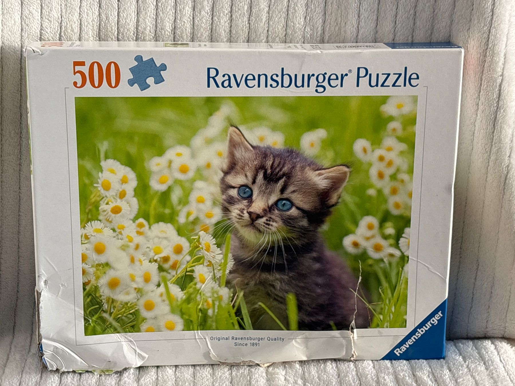Ravensburger Puzzles: Ravensburger Puzzle  Kätzchen, 500 Tl. Verpackungsschaden – Neu und originalverpackt aus Oberegg von MR-shop