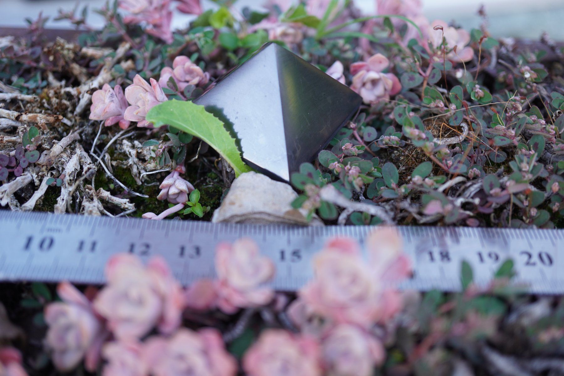 Minerali & Pietre curative: Schungit / Shungit  Pyramide     3cm – Nuovo e nell'imballaggio originale da Eschenbach SG venduto da topstone 3
