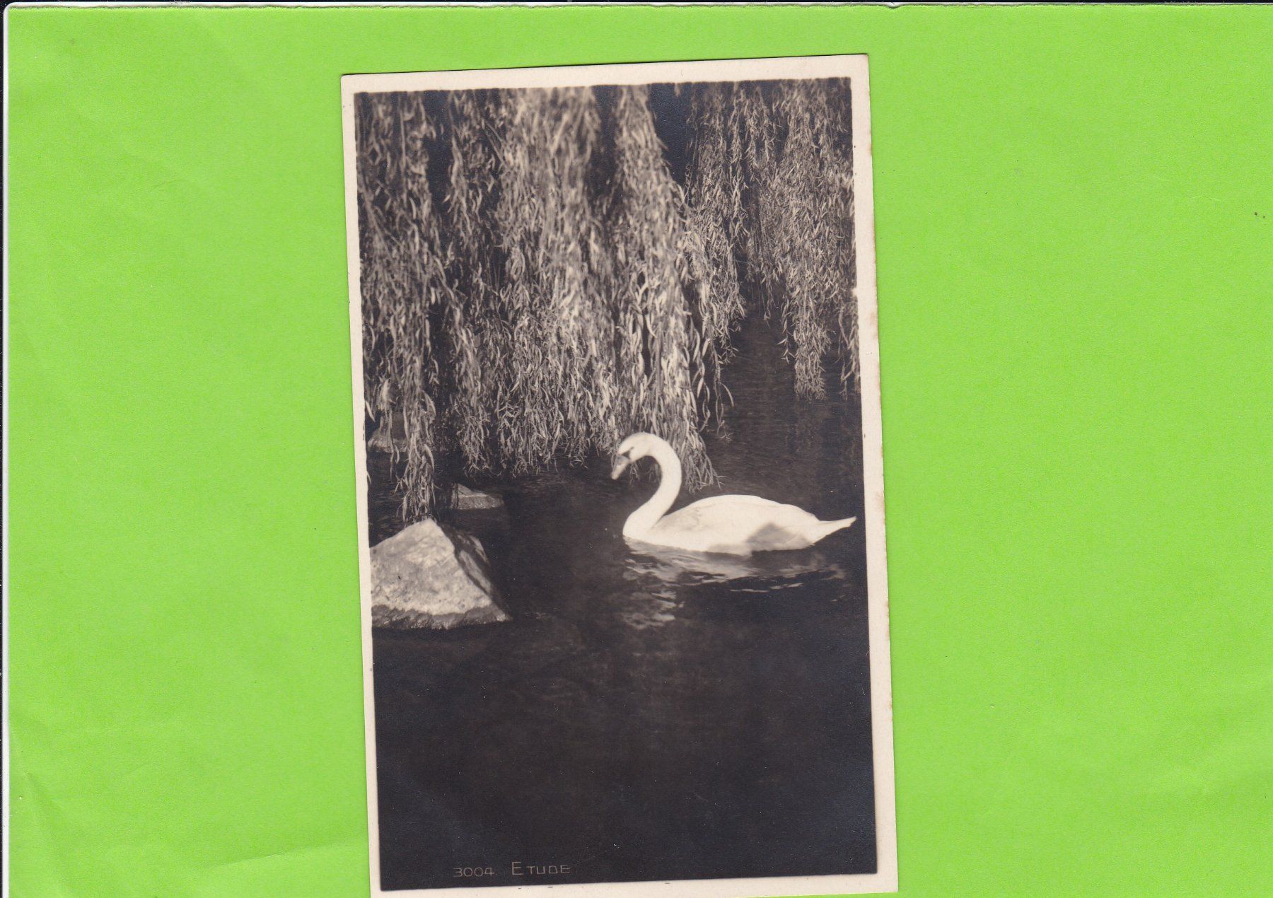 Cartes postales: Schwan – D'occasion à St. Peterzell par neckertal