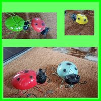 coccinelleun célèbre làmour Prüfungskäferli4ideales Geschenk