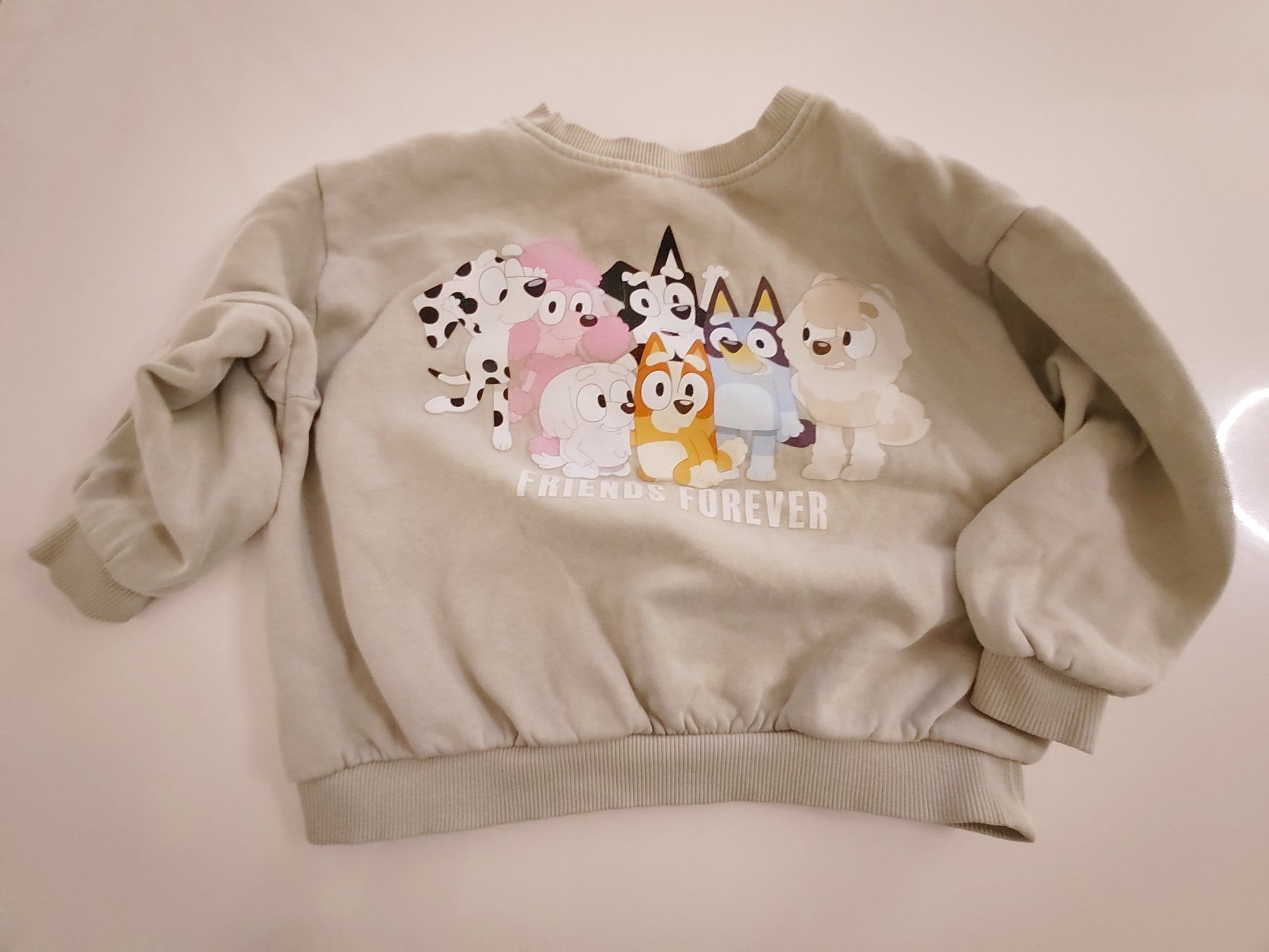 H&M Maglioni & Felpe: Bluey-Pullover, hellgrün, Grösse 98/104 – Usato da Einsiedeln venduto da pattymary