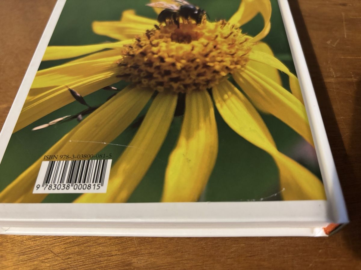 Libri: Arnika: Königin der Heilpflanzen – Usato da Zürich venduto da WWehrle 2