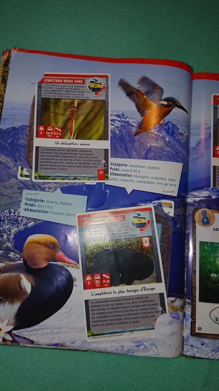 Libri: La Nature quelle Aventure – Usato da Cortaillod venduto da signep 6