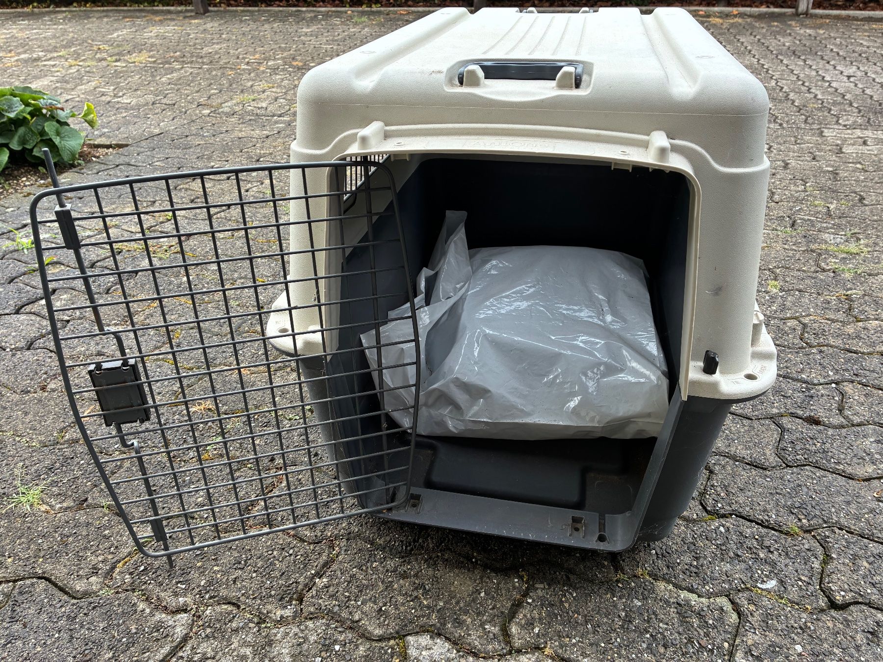 Gabbie, trasporto & Sicurezza: Hundetransportbox Anione – Usato da Dagmersellen venduto da kouk01 1