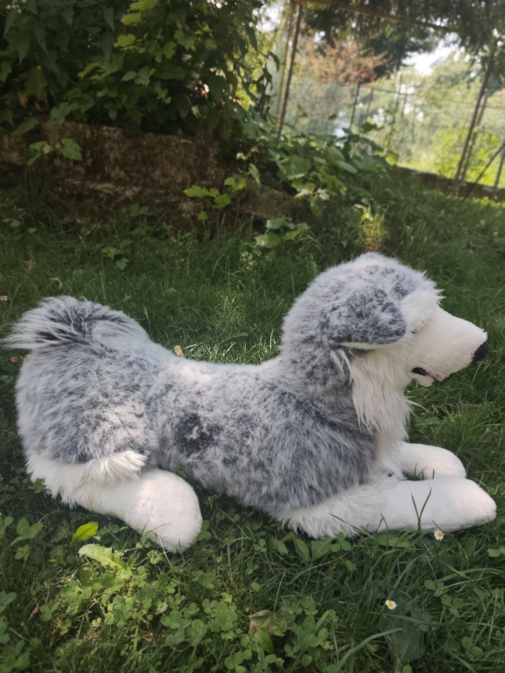 Spielzeuge: Grosser Plüschhund  – Gebraucht aus Wald ZH von Enyafay 1