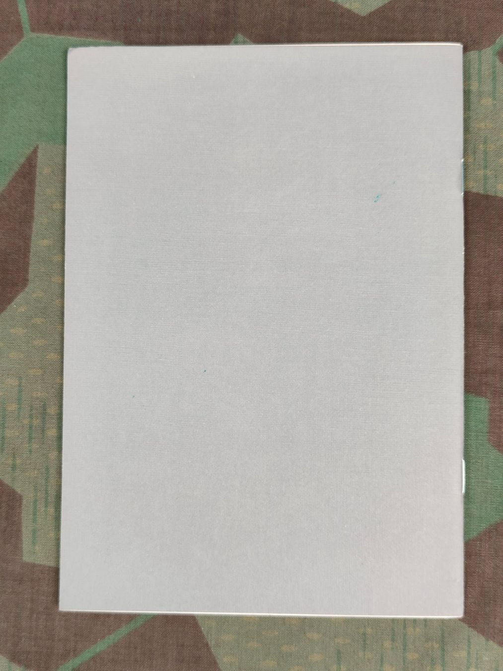 Schweizer Armee Uniformi: Reglement 51.9/III dfi Abzeichen der Schweizer Armee – Usato da Bauma venduto da SwissMilitaria 2