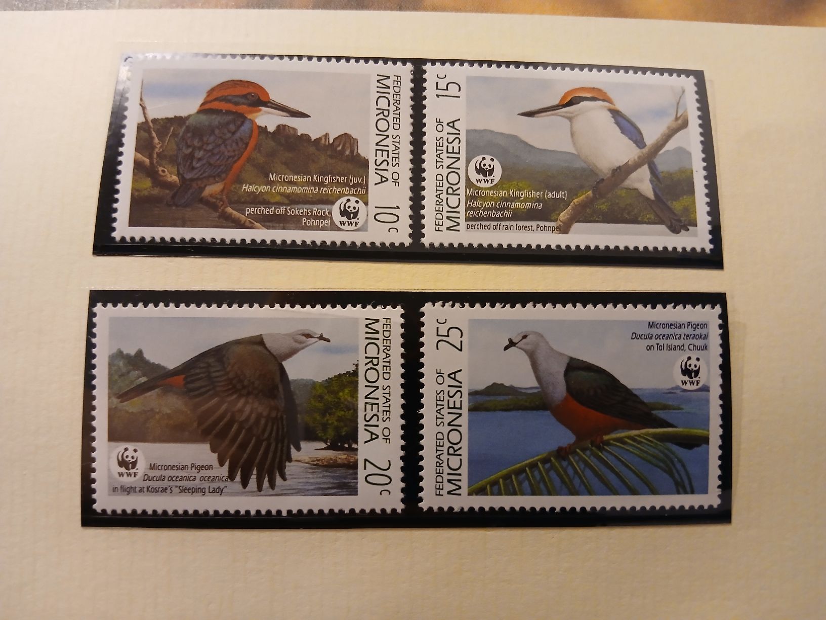 Tutti i francobolli: Micronésie, série complète de timbres d'oiseaux, WWF. – Nuovo (secondo la descrizione) da Marly venduto da globetrotter1723