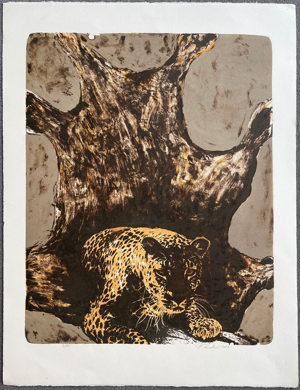 Grafica & Litografie: Paul Rentsch – Usato da Basel venduto da poolko 1