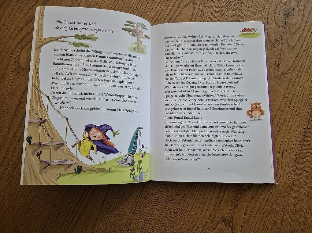 Libri: Buch "Die kleine Eulenhexe" – Usato da Bülach venduto da Best-Touchdown 2