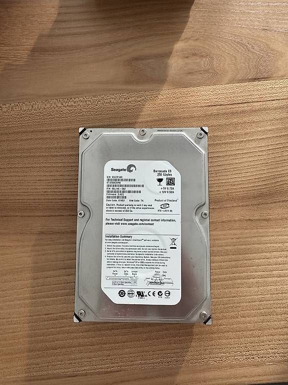 Dischi rigidi: SEAGATE 250 GB HDD – Usato da Grenchen venduto da Strassenschild_9