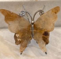 Golden Healer Schmetterling