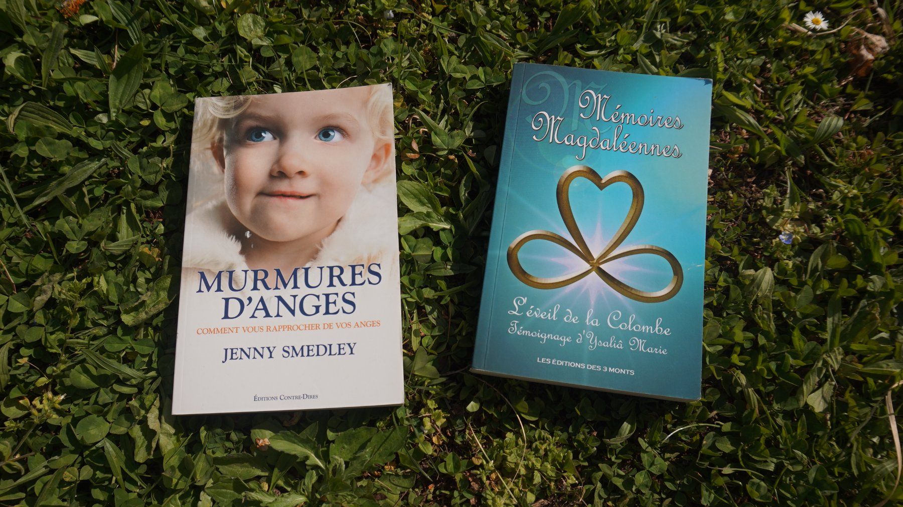 Bücher: Livres sur les Anges/Marie Madeleine – Gebraucht aus Clarens von dia_sw29