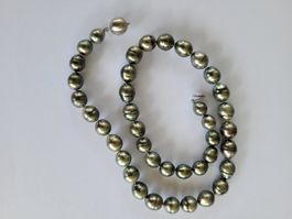 Tahiti Perlen Collier