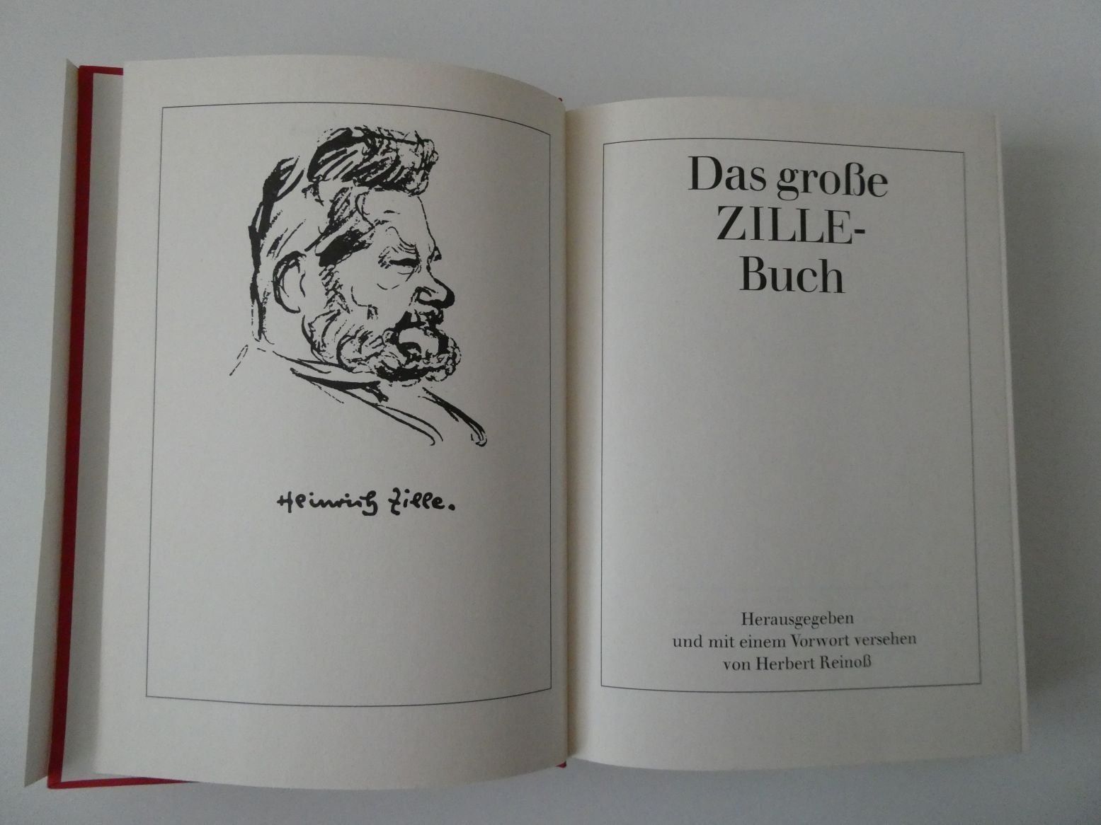 Libri: Das grosse Zille Buch – Usato da Dietlikon venduto da Woodgate 2