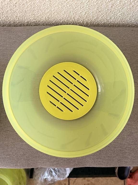 Contenitori & Simili: Tupperware Primavera Frischhaltebox mit Siebeinsatz  neu – Usato da Bellikon venduto da Schwoscht 1